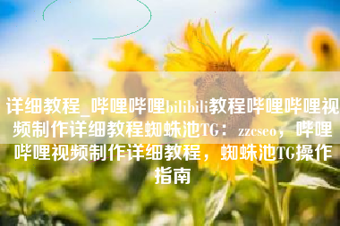 详细教程_哔哩哔哩bilibili教程哔哩哔哩视频制作详细教程蜘蛛池TG：zzcseo，哔哩哔哩视频制作详细教程，蜘蛛池TG操作指南