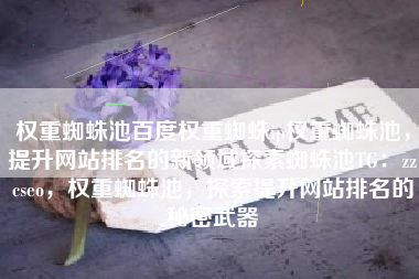 权重蜘蛛池百度权重蜘蛛ip权重蜘蛛池，提升网站排名的新领域探索蜘蛛池TG：zzcseo，权重蜘蛛池，探索提升网站排名的秘密武器