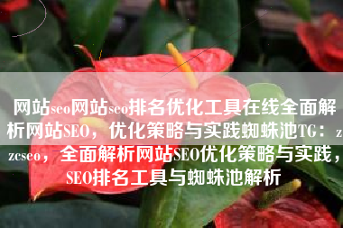 网站seo网站seo排名优化工具在线全面解析网站SEO，优化策略与实践蜘蛛池TG：zzcseo，全面解析网站SEO优化策略与实践，SEO排名工具与蜘蛛池解析