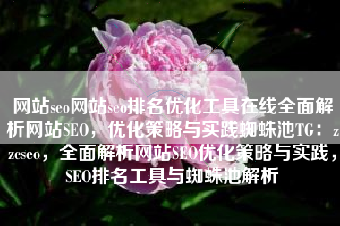 网站seo网站seo排名优化工具在线全面解析网站SEO，优化策略与实践蜘蛛池TG：zzcseo，全面解析网站SEO优化策略与实践，SEO排名工具与蜘蛛池解析