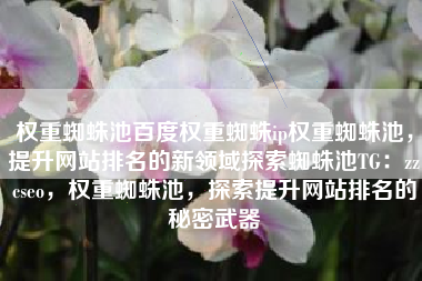 权重蜘蛛池百度权重蜘蛛ip权重蜘蛛池，提升网站排名的新领域探索蜘蛛池TG：zzcseo，权重蜘蛛池，探索提升网站排名的秘密武器