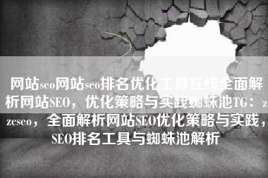 网站seo网站seo排名优化工具在线全面解析网站SEO，优化策略与实践蜘蛛池TG：zzcseo，全面解析网站SEO优化策略与实践，SEO排名工具与蜘蛛池解析
