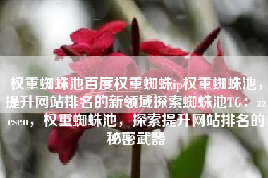 权重蜘蛛池百度权重蜘蛛ip权重蜘蛛池，提升网站排名的新领域探索蜘蛛池TG：zzcseo，权重蜘蛛池，探索提升网站排名的秘密武器
