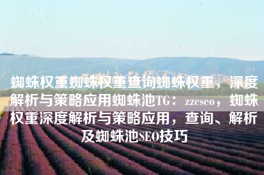 蜘蛛权重蜘蛛权重查询蜘蛛权重，深度解析与策略应用蜘蛛池TG：zzcseo，蜘蛛权重深度解析与策略应用，查询、解析及蜘蛛池SEO技巧