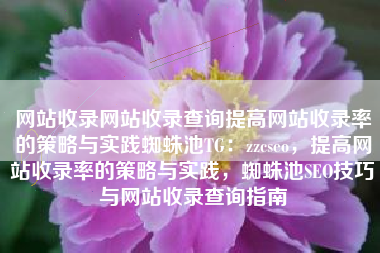 网站收录网站收录查询提高网站收录率的策略与实践蜘蛛池TG：zzcseo，提高网站收录率的策略与实践，蜘蛛池SEO技巧与网站收录查询指南