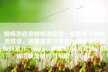 蜘蛛池收录蜘蛛池收录一般要多久蜘蛛池收录，探索搜索引擎优化的秘密武器蜘蛛池TG：zzcseo，探索SEO秘密武器，蜘蛛池收录时间与策略TG，zzcseo
