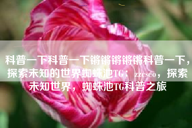 科普一下科普一下锵锵锵锵锵科普一下，探索未知的世界蜘蛛池TG：zzcseo，探索未知世界，蜘蛛池TG科普之旅