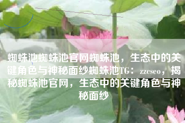 蜘蛛池蜘蛛池官网蜘蛛池，生态中的关键角色与神秘面纱蜘蛛池TG：zzcseo，揭秘蜘蛛池官网，生态中的关键角色与神秘面纱