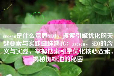 seoseo是什么意思SEO，搜索引擎优化的关键要素与实践蜘蛛池TG：zzcseo，SEO的含义与实践，掌握搜索引擎优化核心要素，揭秘蜘蛛池的秘密