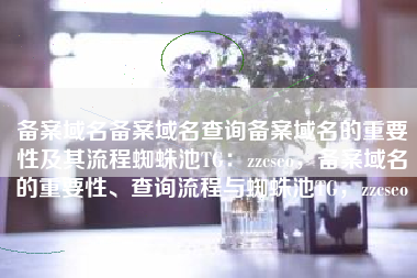 备案域名备案域名查询备案域名的重要性及其流程蜘蛛池TG：zzcseo，备案域名的重要性、查询流程与蜘蛛池TG，zzcseo