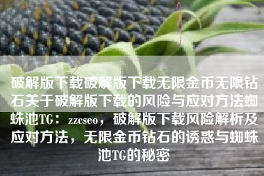 破解版下载破解版下载无限金币无限钻石关于破解版下载的风险与应对方法蜘蛛池TG：zzcseo，破解版下载风险解析及应对方法，无限金币钻石的诱惑与蜘蛛池TG的秘密