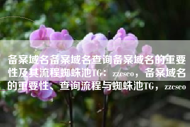 备案域名备案域名查询备案域名的重要性及其流程蜘蛛池TG：zzcseo，备案域名的重要性、查询流程与蜘蛛池TG，zzcseo