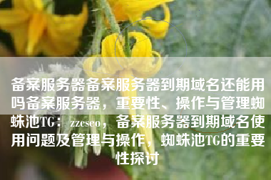 备案服务器备案服务器到期域名还能用吗备案服务器，重要性、操作与管理蜘蛛池TG：zzcseo，备案服务器到期域名使用问题及管理与操作，蜘蛛池TG的重要性探讨
