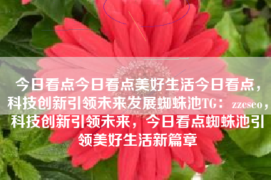 今日看点今日看点美好生活今日看点，科技创新引领未来发展蜘蛛池TG：zzcseo，科技创新引领未来，今日看点蜘蛛池引领美好生活新篇章