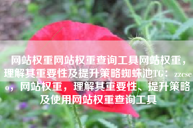 网站权重网站权重查询工具网站权重，理解其重要性及提升策略蜘蛛池TG：zzcseo，网站权重，理解其重要性、提升策略及使用网站权重查询工具