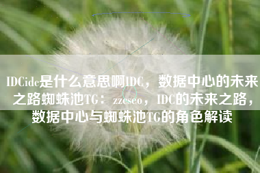 IDCidc是什么意思啊IDC，数据中心的未来之路蜘蛛池TG：zzcseo，IDC的未来之路，数据中心与蜘蛛池TG的角色解读