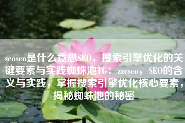 seoseo是什么意思SEO，搜索引擎优化的关键要素与实践蜘蛛池TG：zzcseo，SEO的含义与实践，掌握搜索引擎优化核心要素，揭秘蜘蛛池的秘密