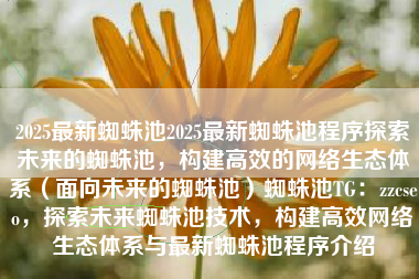 2025最新蜘蛛池2025最新蜘蛛池程序探索未来的蜘蛛池，构建高效的网络生态体系（面向未来的蜘蛛池）蜘蛛池TG：zzcseo，探索未来蜘蛛池技术，构建高效网络生态体系与最新蜘蛛池程序介绍