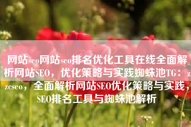 网站seo网站seo排名优化工具在线全面解析网站SEO，优化策略与实践蜘蛛池TG：zzcseo，全面解析网站SEO优化策略与实践，SEO排名工具与蜘蛛池解析