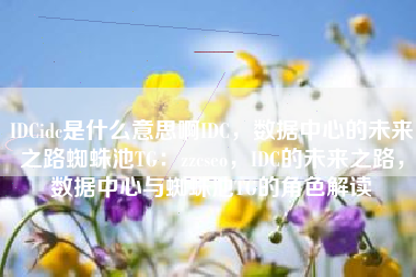 IDCidc是什么意思啊IDC，数据中心的未来之路蜘蛛池TG：zzcseo，IDC的未来之路，数据中心与蜘蛛池TG的角色解读
