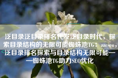 泛目录泛目录排名代发泛目录时代，探索目录结构的无限可能蜘蛛池TG：zzcseo，泛目录排名探索与目录结构无限可能——蜘蛛池TG助力SEO优化