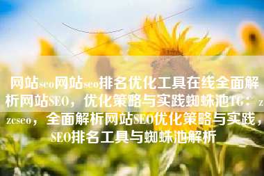 网站seo网站seo排名优化工具在线全面解析网站SEO，优化策略与实践蜘蛛池TG：zzcseo，全面解析网站SEO优化策略与实践，SEO排名工具与蜘蛛池解析