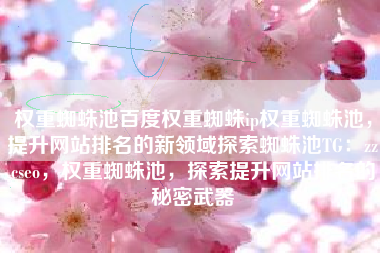 权重蜘蛛池百度权重蜘蛛ip权重蜘蛛池，提升网站排名的新领域探索蜘蛛池TG：zzcseo，权重蜘蛛池，探索提升网站排名的秘密武器
