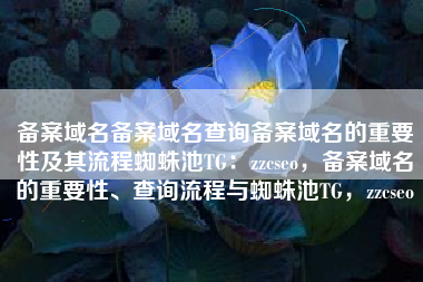备案域名备案域名查询备案域名的重要性及其流程蜘蛛池TG：zzcseo，备案域名的重要性、查询流程与蜘蛛池TG，zzcseo