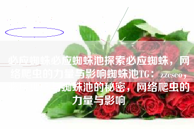 必应蜘蛛必应蜘蛛池探索必应蜘蛛，网络爬虫的力量与影响蜘蛛池TG：zzcseo，必应蜘蛛与蜘蛛池的秘密，网络爬虫的力量与影响