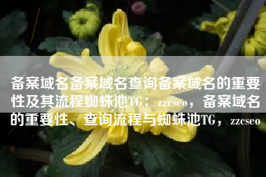 备案域名备案域名查询备案域名的重要性及其流程蜘蛛池TG：zzcseo，备案域名的重要性、查询流程与蜘蛛池TG，zzcseo