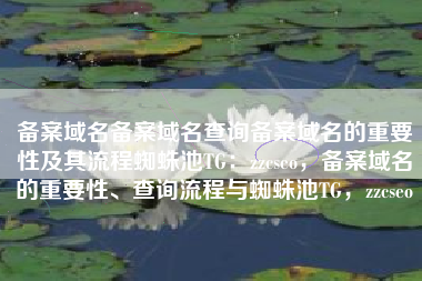 备案域名备案域名查询备案域名的重要性及其流程蜘蛛池TG：zzcseo，备案域名的重要性、查询流程与蜘蛛池TG，zzcseo