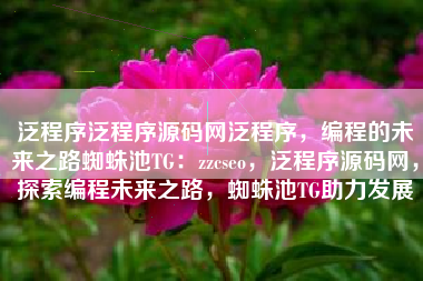 泛程序泛程序源码网泛程序，编程的未来之路蜘蛛池TG：zzcseo，泛程序源码网，探索编程未来之路，蜘蛛池TG助力发展