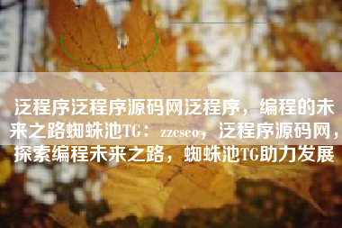 泛程序泛程序源码网泛程序，编程的未来之路蜘蛛池TG：zzcseo，泛程序源码网，探索编程未来之路，蜘蛛池TG助力发展