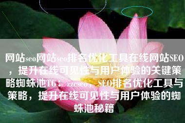 网站seo网站seo排名优化工具在线网站SEO，提升在线可见性与用户体验的关键策略蜘蛛池TG：zzcseo，SEO排名优化工具与策略，提升在线可见性与用户体验的蜘蛛池秘籍