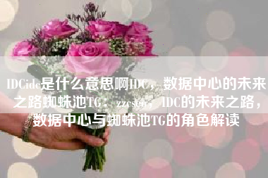 IDCidc是什么意思啊IDC，数据中心的未来之路蜘蛛池TG：zzcseo，IDC的未来之路，数据中心与蜘蛛池TG的角色解读