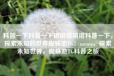 科普一下科普一下锵锵锵锵锵科普一下，探索未知的世界蜘蛛池TG：zzcseo，探索未知世界，蜘蛛池TG科普之旅