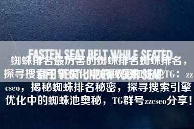 蜘蛛排名最厉害的蜘蛛排名蜘蛛排名，探寻搜索引擎优化中的秘密蜘蛛池TG：zzcseo，揭秘蜘蛛排名秘密，探寻搜索引擎优化中的蜘蛛池奥秘，TG群号zzcseo分享！