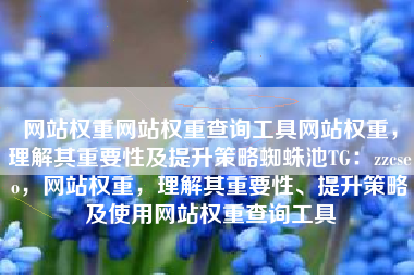 网站权重网站权重查询工具网站权重，理解其重要性及提升策略蜘蛛池TG：zzcseo，网站权重，理解其重要性、提升策略及使用网站权重查询工具