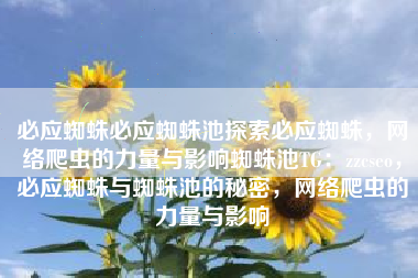 必应蜘蛛必应蜘蛛池探索必应蜘蛛，网络爬虫的力量与影响蜘蛛池TG：zzcseo，必应蜘蛛与蜘蛛池的秘密，网络爬虫的力量与影响