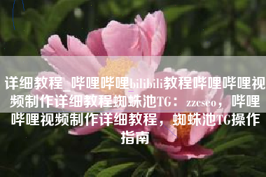 详细教程_哔哩哔哩bilibili教程哔哩哔哩视频制作详细教程蜘蛛池TG：zzcseo，哔哩哔哩视频制作详细教程，蜘蛛池TG操作指南