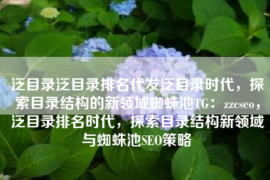 泛目录泛目录排名代发泛目录时代，探索目录结构的新领域蜘蛛池TG：zzcseo，泛目录排名时代，探索目录结构新领域与蜘蛛池SEO策略