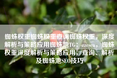 蜘蛛权重蜘蛛权重查询蜘蛛权重，深度解析与策略应用蜘蛛池TG：zzcseo，蜘蛛权重深度解析与策略应用，查询、解析及蜘蛛池SEO技巧