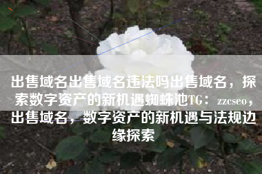 出售域名出售域名违法吗出售域名，探索数字资产的新机遇蜘蛛池TG：zzcseo，出售域名，数字资产的新机遇与法规边缘探索