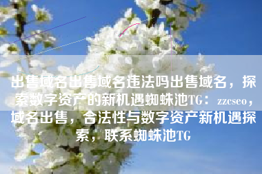 出售域名出售域名违法吗出售域名，探索数字资产的新机遇蜘蛛池TG：zzcseo，域名出售，合法性与数字资产新机遇探索，联系蜘蛛池TG