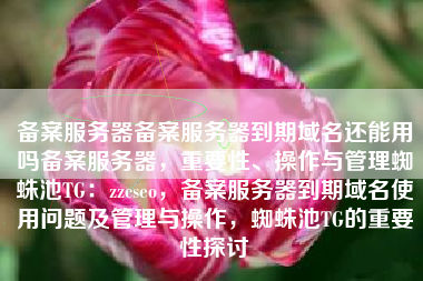 备案服务器备案服务器到期域名还能用吗备案服务器，重要性、操作与管理蜘蛛池TG：zzcseo，备案服务器到期域名使用问题及管理与操作，蜘蛛池TG的重要性探讨