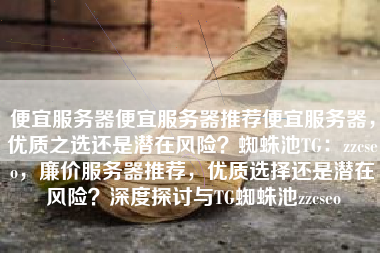 便宜服务器便宜服务器推荐便宜服务器，优质之选还是潜在风险？蜘蛛池TG：zzcseo，廉价服务器推荐，优质选择还是潜在风险？深度探讨与TG蜘蛛池zzcseo