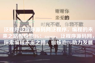 泛程序泛程序源码网泛程序，编程的未来之路蜘蛛池TG：zzcseo，泛程序源码网，探索编程未来之路，蜘蛛池TG助力发展