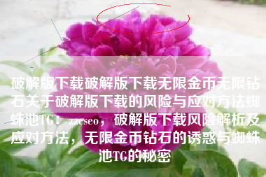 破解版下载破解版下载无限金币无限钻石关于破解版下载的风险与应对方法蜘蛛池TG：zzcseo，破解版下载风险解析及应对方法，无限金币钻石的诱惑与蜘蛛池TG的秘密