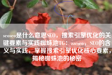 seoseo是什么意思SEO，搜索引擎优化的关键要素与实践蜘蛛池TG：zzcseo，SEO的含义与实践，掌握搜索引擎优化核心要素，揭秘蜘蛛池的秘密