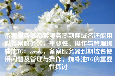 备案服务器备案服务器到期域名还能用吗备案服务器，重要性、操作与管理蜘蛛池TG：zzcseo，备案服务器到期域名使用问题及管理与操作，蜘蛛池TG的重要性探讨